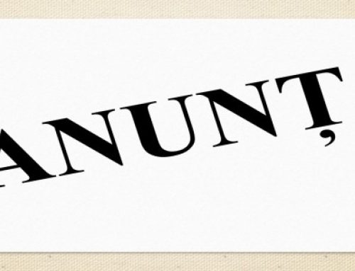 Ședința Ordinară a Consiliului Local Sadu –  30 Octombrie 2025